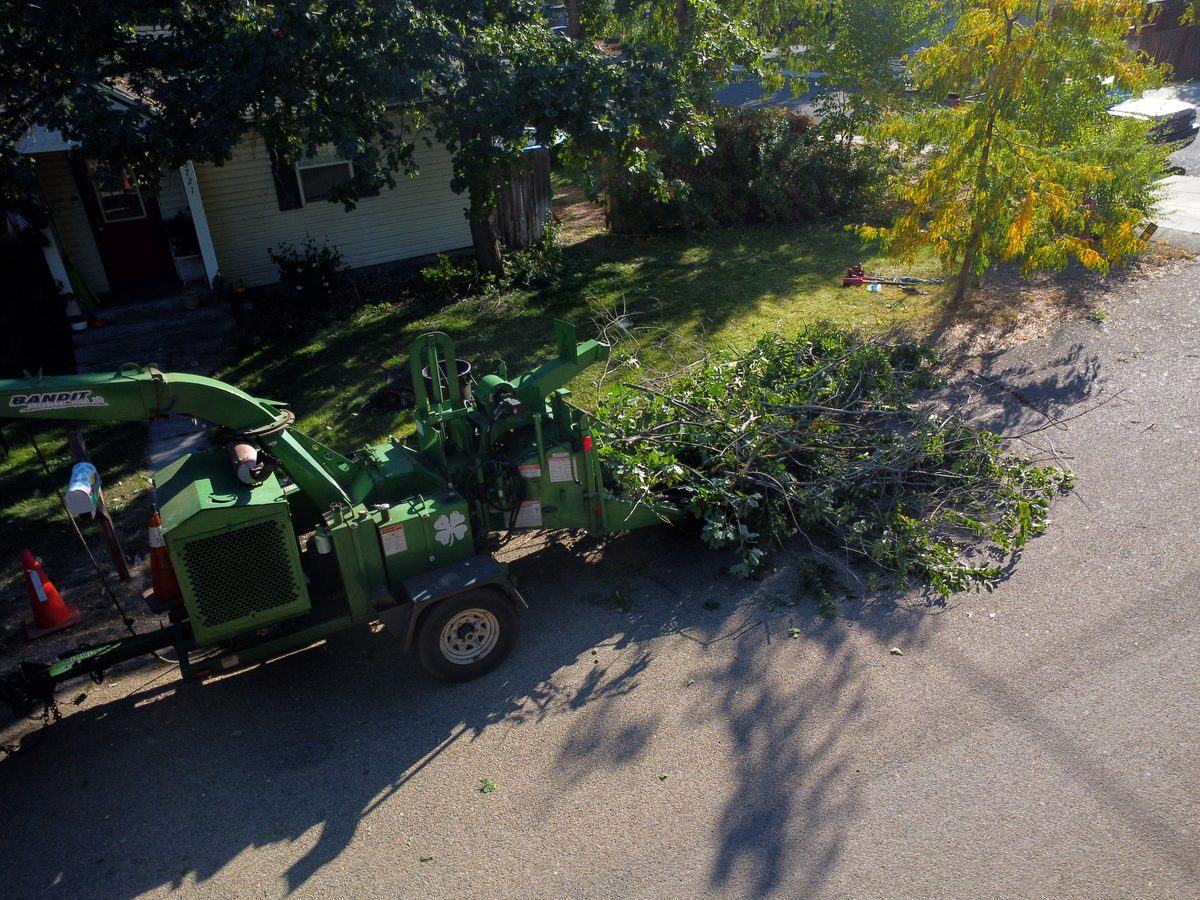 The green Tapson&rsquo;s brush chipper parked on a Boise street with traffic cones set out and a pile of freshly cut limbs stacked on the verge ready to be fed through.