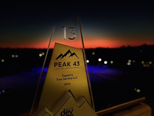 The Peak 43 award trophy for Tapson&rsquo;s Tree Service LLC, 2024, held against a deep orange Boise sunset. The brushed-gold plaque is numbered 13 and reads &lsquo;Idaho&rsquo;s Fastest Growing Companies&rsquo;.